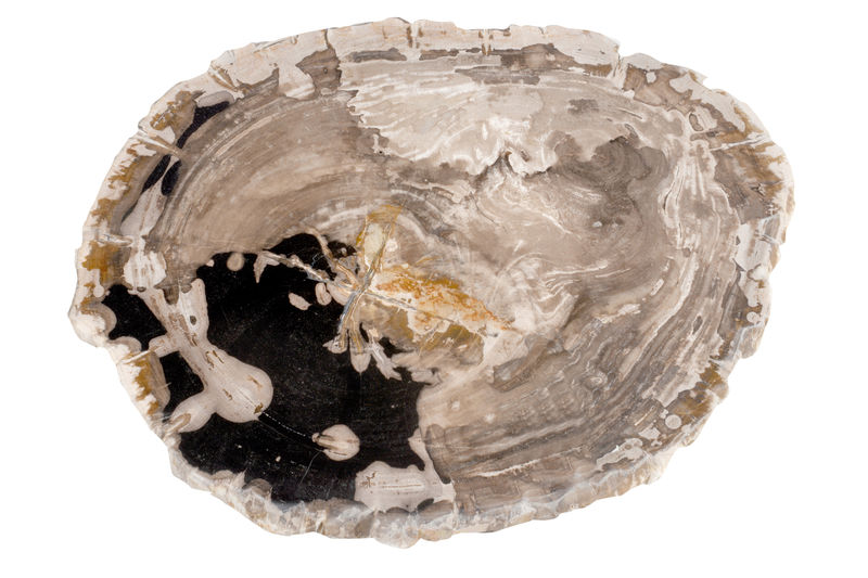 FUBR038 Приставной столик из окаменелого дерева ijlbrown  - Вид №1