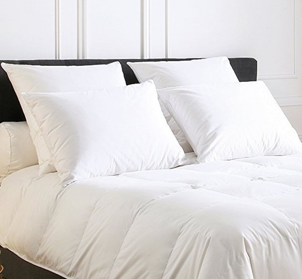 PAL_50 Подушка 50/70 90% пух 10% перо утиное Blanc des Vosges Santreyd 