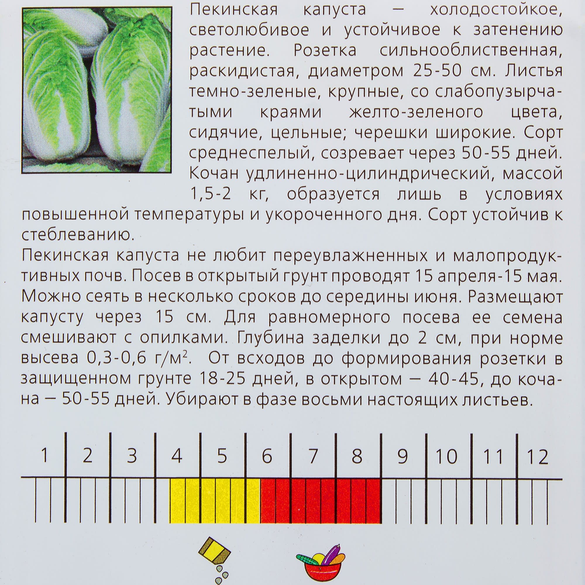 13842215 Семена Капуста пекинская «Бокал» Santreyd  - Вид №2