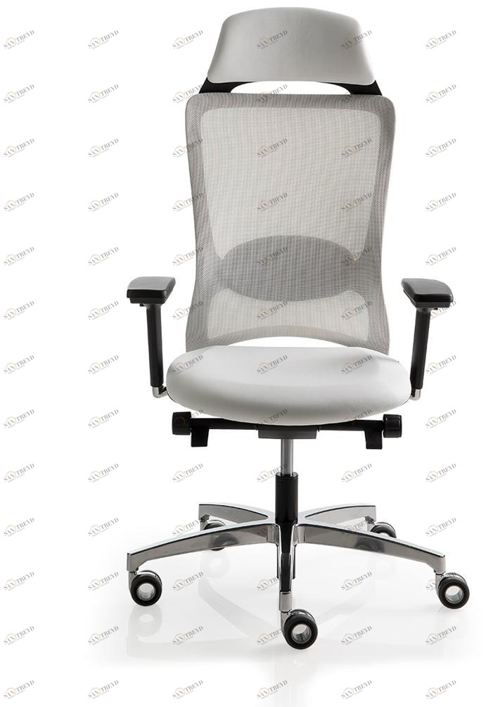 Luxy Кресло руководителя с поворотной сеткой и подголовником Pop Pp1