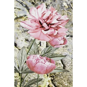 Картина на стекле «Сорбет 1» 40x60 см 84531350 STLM-2103852