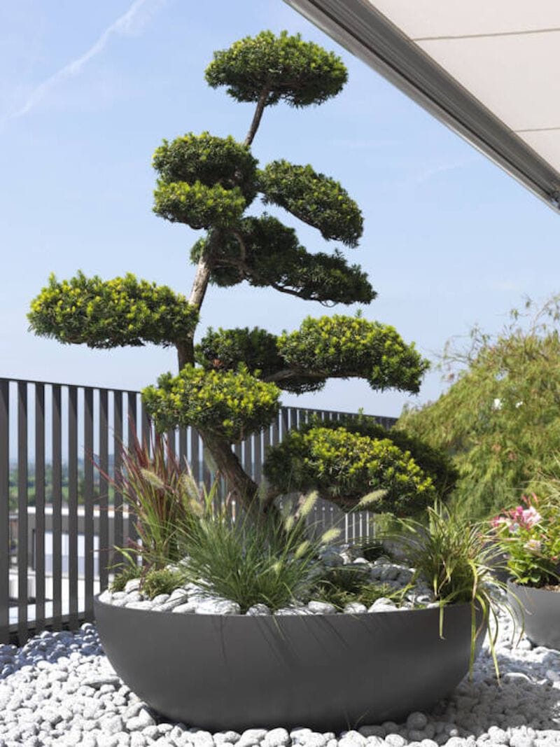 Бетонный низкий садовый горшок SWISSPEARL Softline ARCH-00119993 - Вид №2