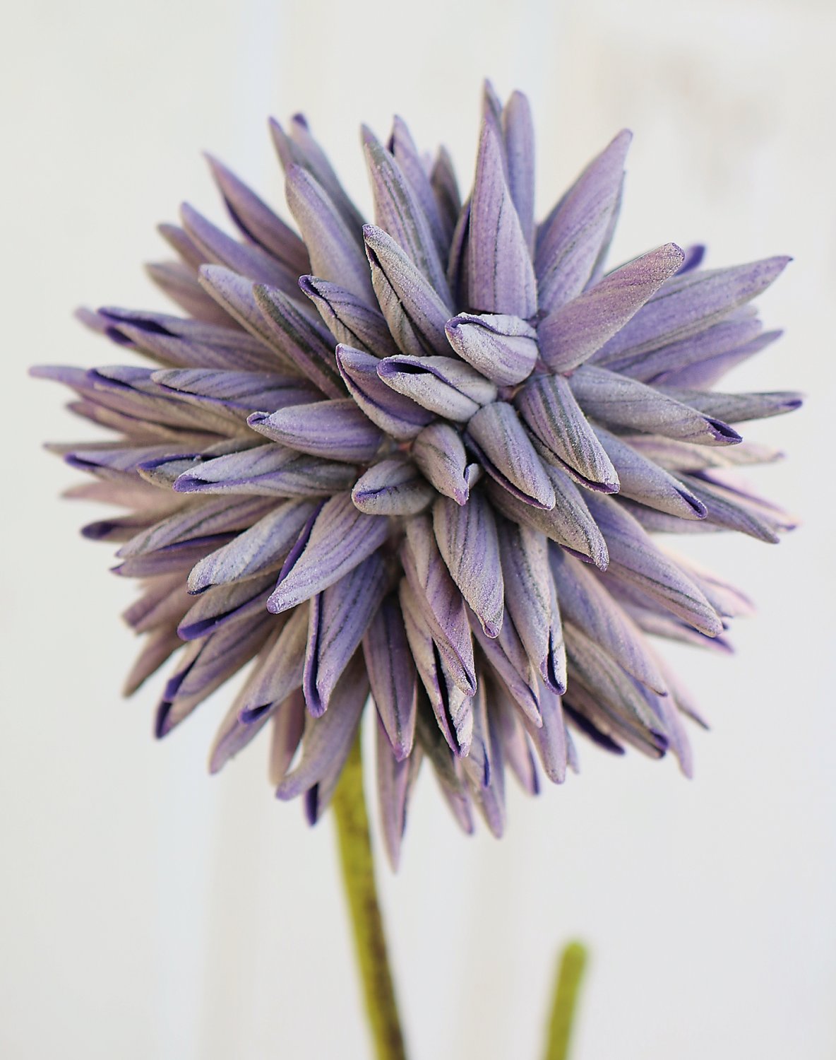 7995 222 a3 Искусственный мягкий цветок 'allium', 95 см, темно-фиолетовый H-andreas  - Вид №2