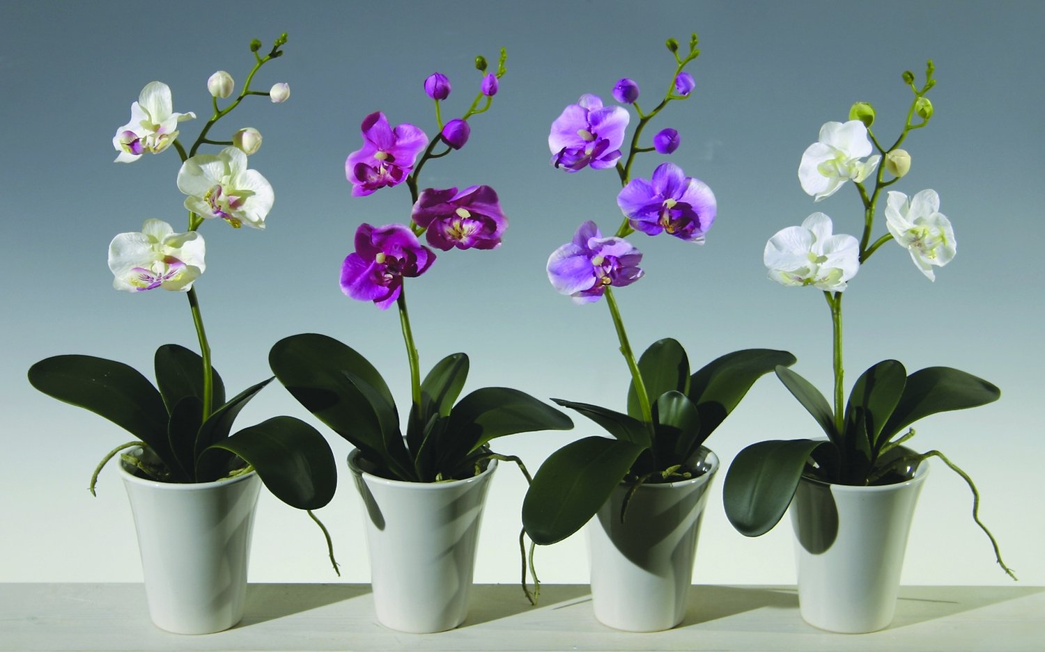 2528 420 a3 Искусственная орхидея Phalaenopsis, горшечная, 40 см, вишня H-andreas  - Вид №1