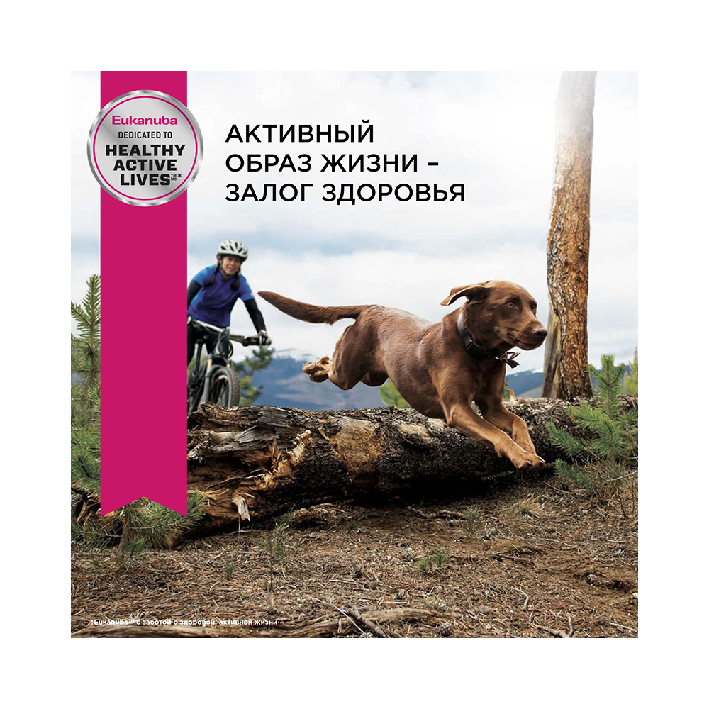 ПР0033063 Корм для собак для крупных пород сух. 3кг Eukanuba  - Вид №1