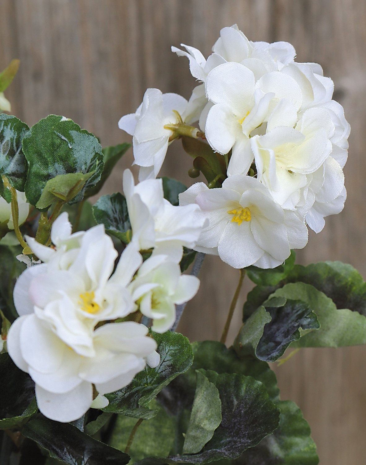 3193 777 a2 Искусственный куст герани, 7 цветочных головок, 50 см, белый H-andreas 