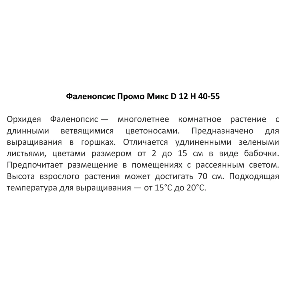Santreyd Орхидея Фаленопсис - изящное украшение интерьера с цветами-бабочками 83670570 STLM-0043273 - Вид №4