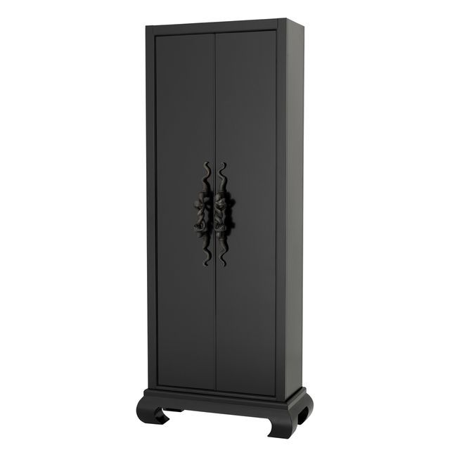 Шкаф двухдверный коричневый Python PUSHA EICHHOLTZ 062473 Черный  - Вид №3