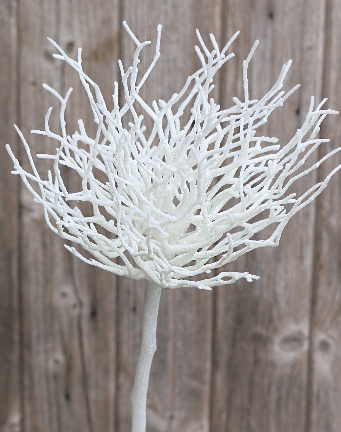 5706 799 a3 Ветка декоративная искусственная, 60 см, матовый белый H-andreas  - Вид №1