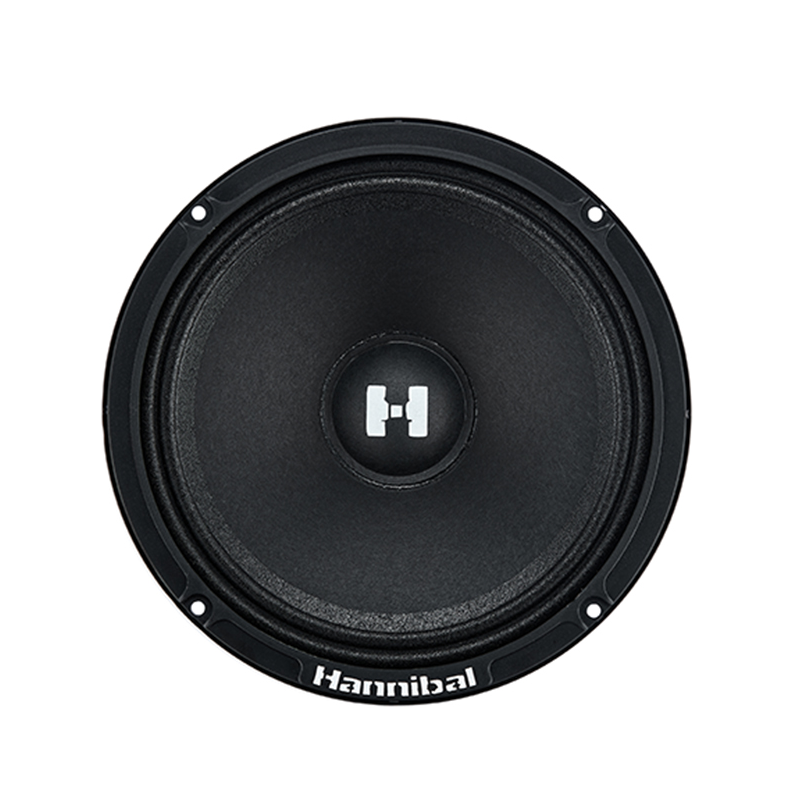 5481257 Среднечастотная акустическая система Deaf Bonce Alphard Hannibal HM-6S STDN-0072940 - Вид №2