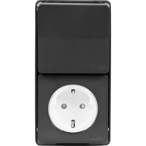 Блок выключатель с розеткой влагозащищённый Systeme Electric Mureva 1 клавиша с заземлением с крышкой и шторками IP55