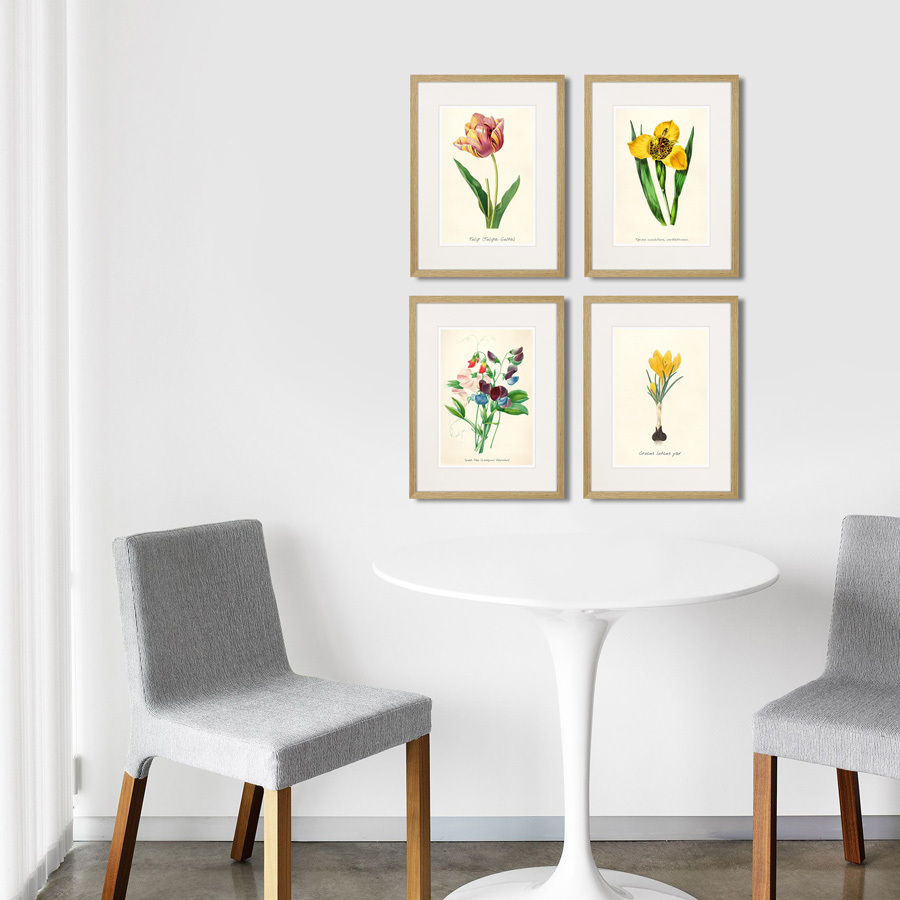 Картина в раме 32х42 см Botany illustration №10, 1836г. КАРТИНЫ В КВАРТИРУ  264493 Желтый;зеленый;разноцветный  - Вид №2