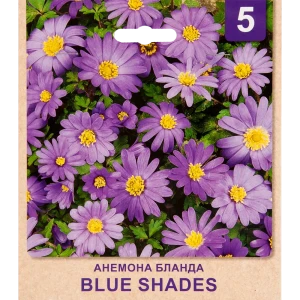 Анемона «Blue Shades» размер луковицы 5/6, 5 шт. 82365208 STLM-2087915