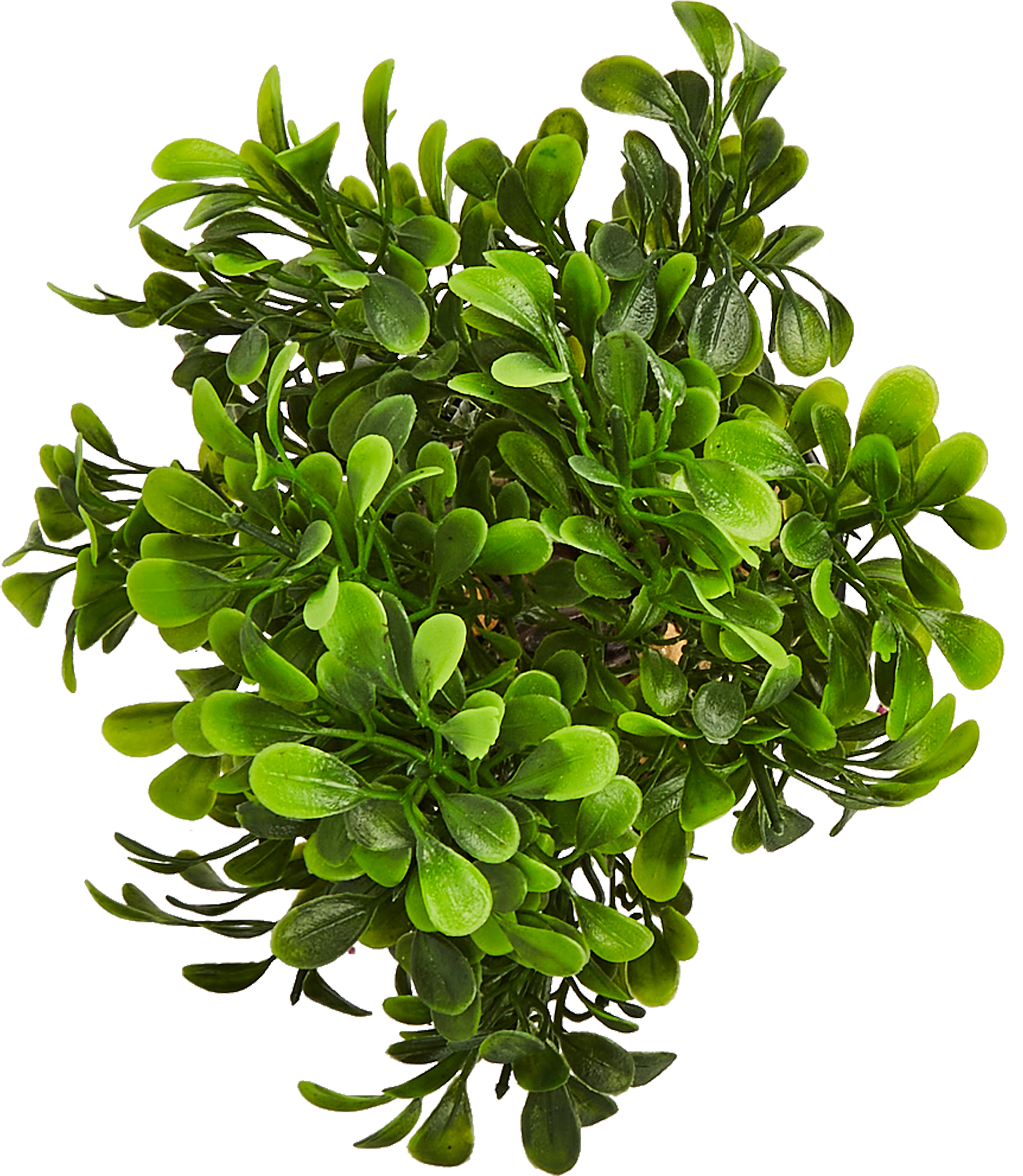 85852577 Искусственное растение крассула h22 см ПВХ разноцветный STLM-0065639 Santreyd  - Вид №1