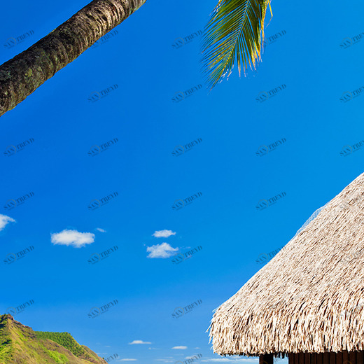 A1-093 Фотообои DIVINO Collection A 2.7х1 м A1093