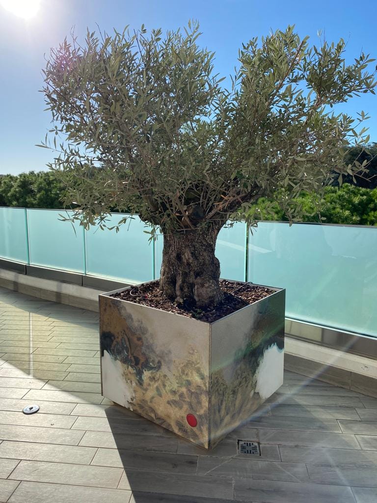 Квадратный плантатор из майоликовой лавы DOMIZIANI FIORIERE ARCH-00078821 - Вид №1