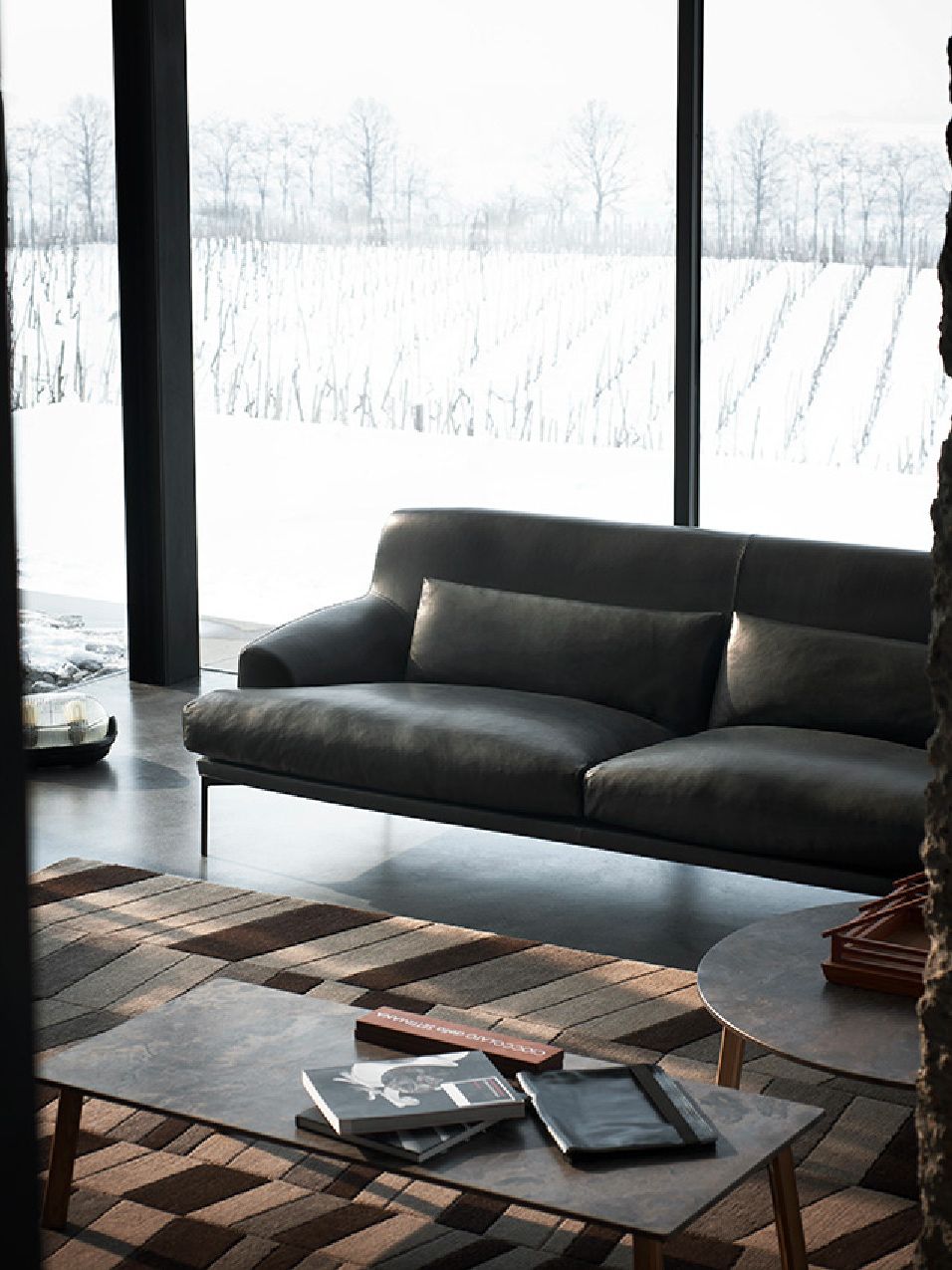 Кожаный диван Tacchini Монтевидео ARCH-00096336 - Вид №3