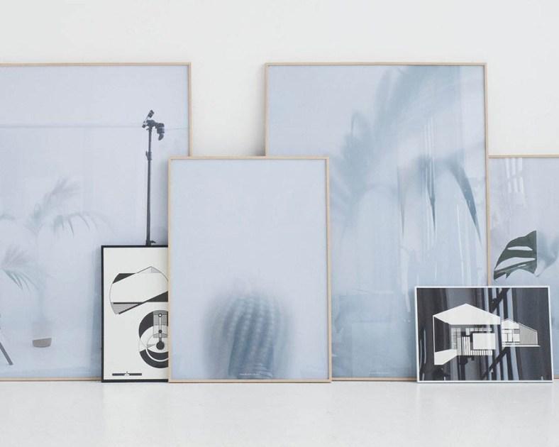 Kristina Dam Studio Фотографическая печать Botanic posters 108-104-102  - Вид №3