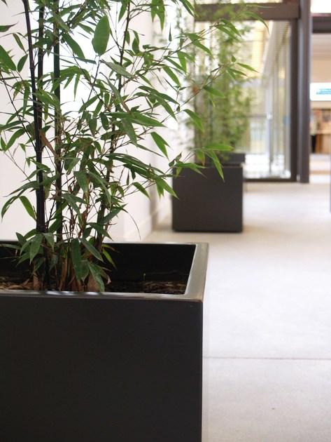 IMAGE'IN Кашпо на колесах для дома и дачи sun-id-1411047 - Вид №13