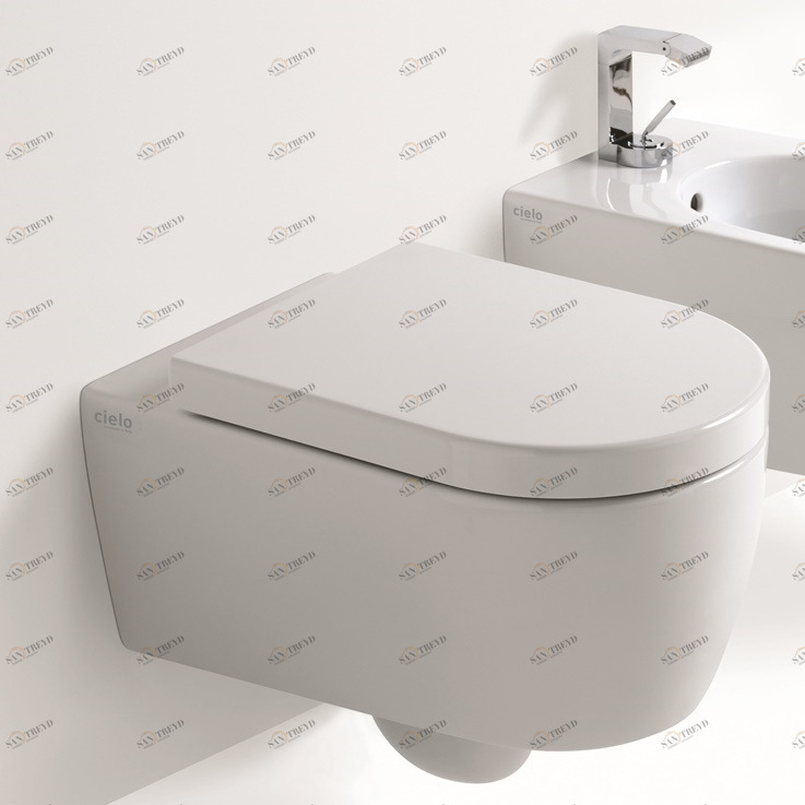 SMVSNW Подвесной унитаз настенный Белый Ceramica Cielo SMILE Италия