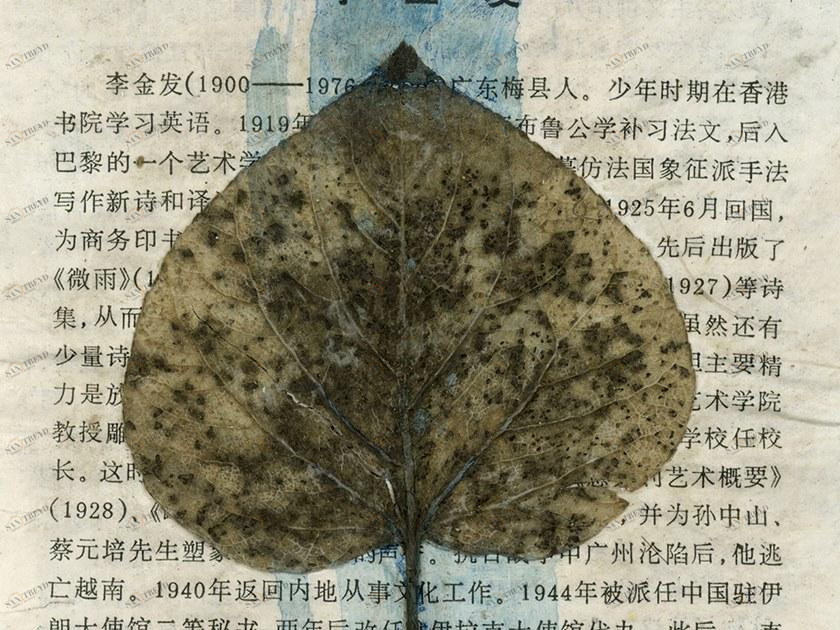 MOMENTI Художественная печать Crazy home paintings 046