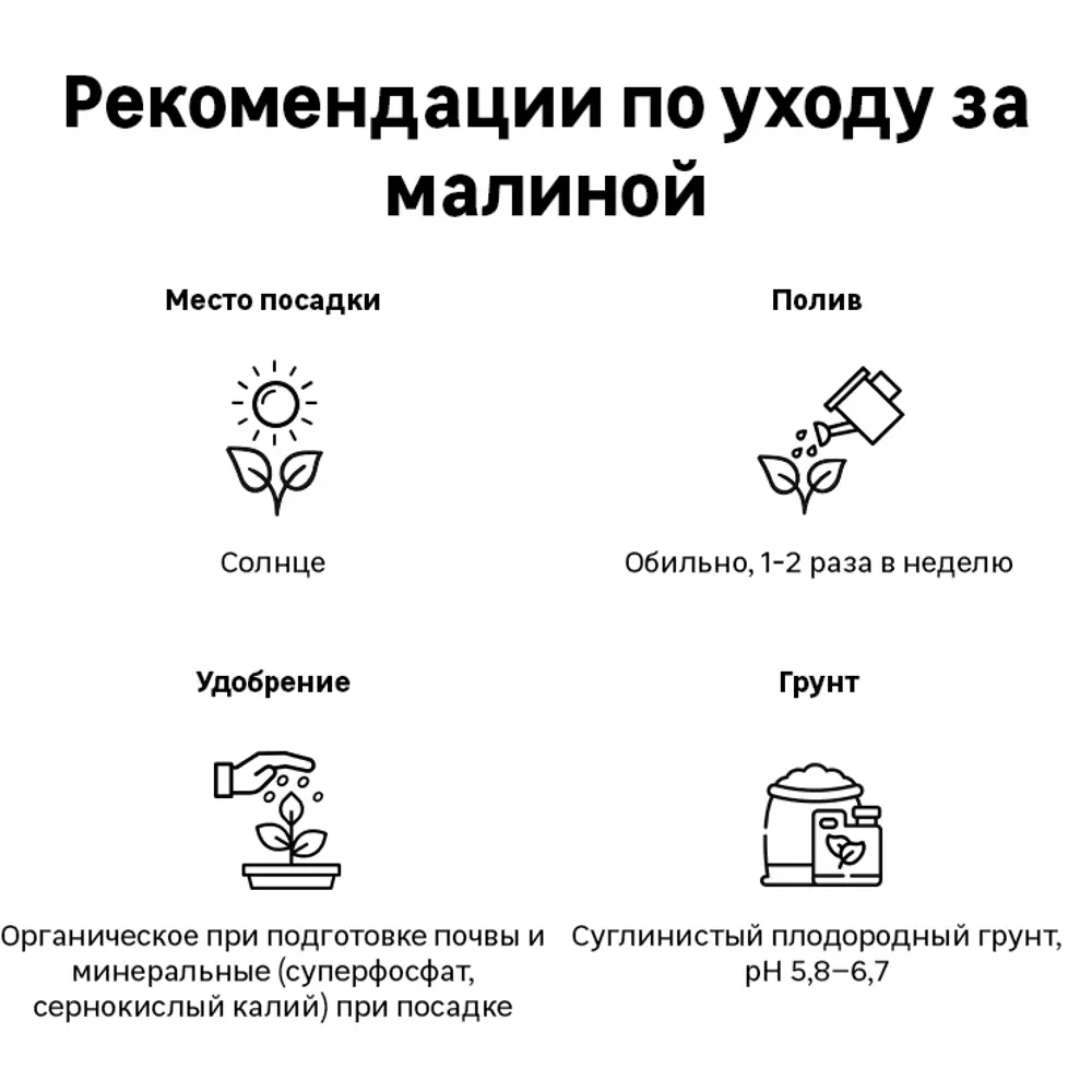 Ежемалина Бакингем Тейберри в тубе Поиск Инвест 82528997 STLM-2156102 Santreyd  - Вид №3