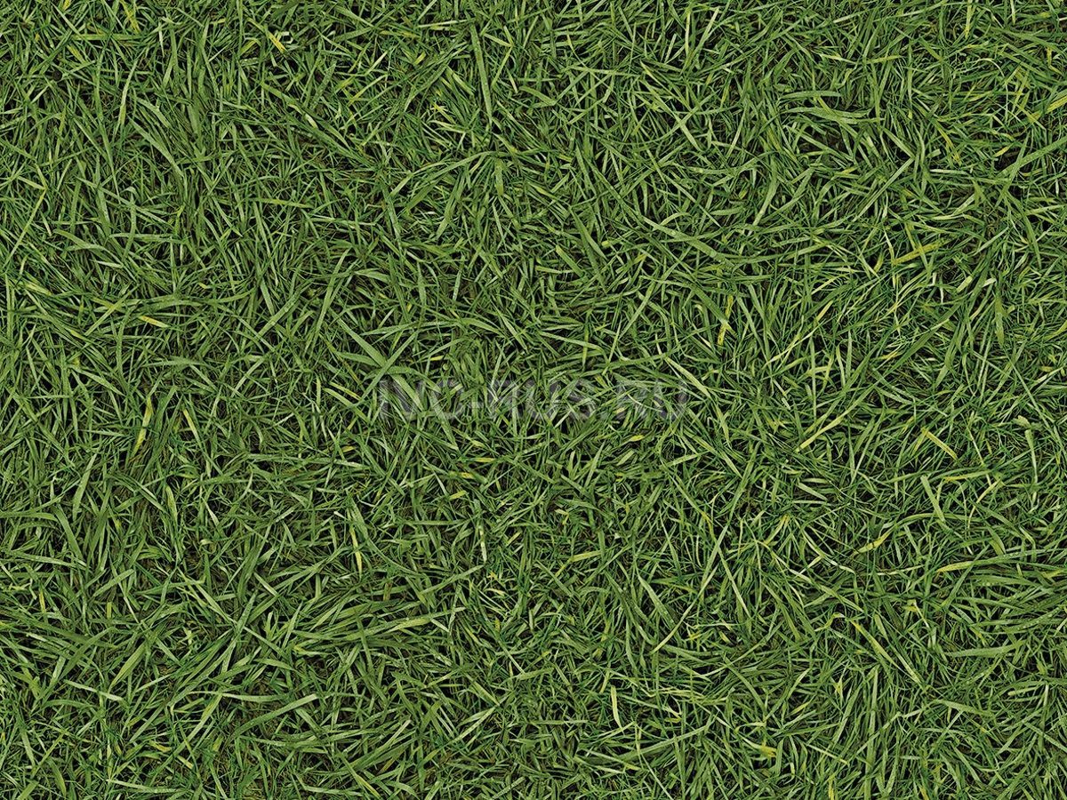 Линолеум бытовой SMART NEO - СМАРТ НЕО i457820 IVC-RUS 