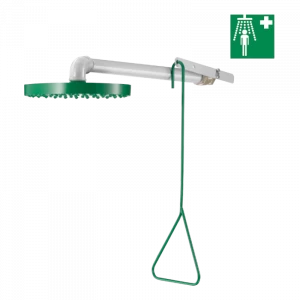 9108 Настенный аварийный душ DELABIE