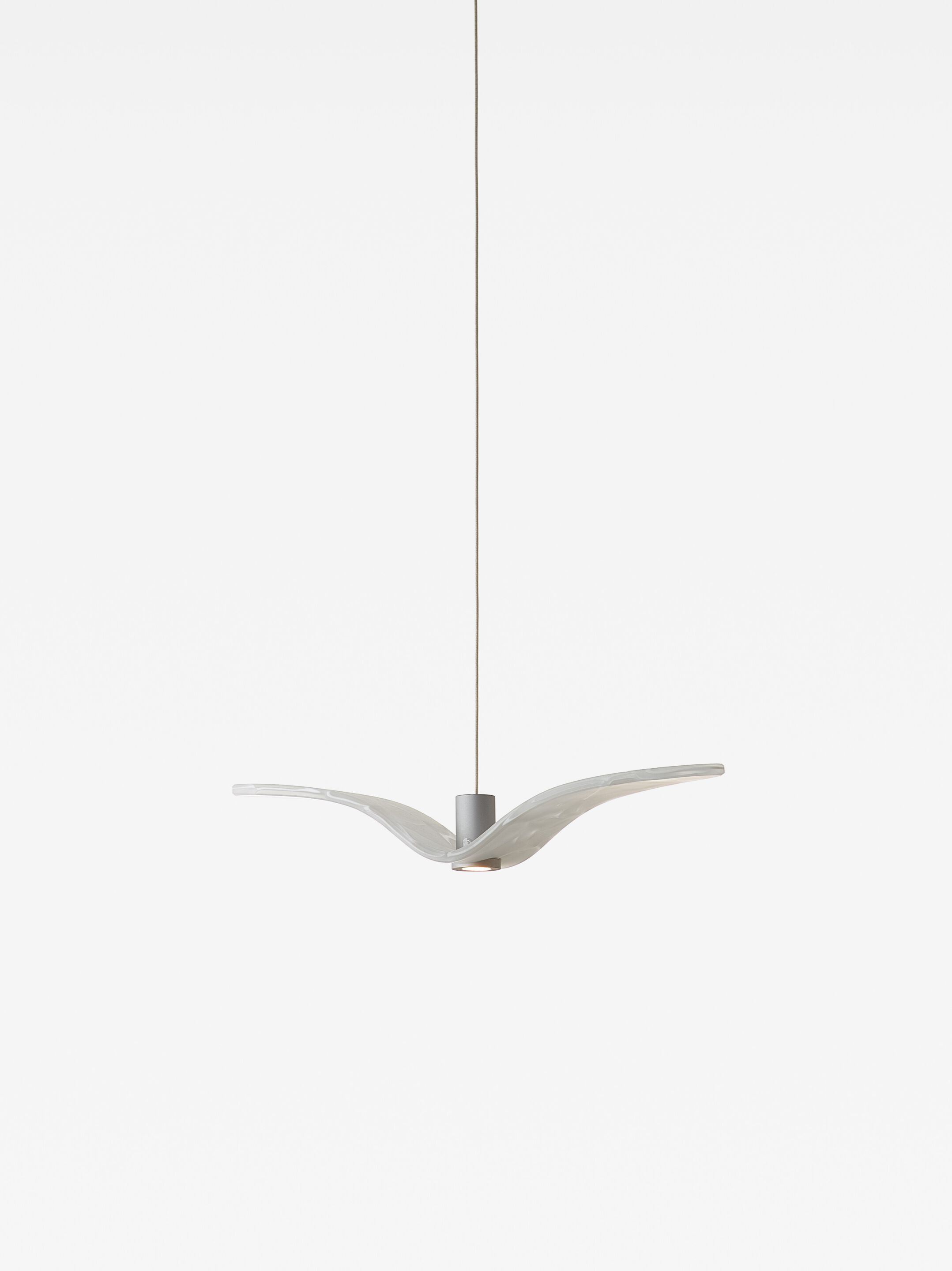 Стеклянный светодиодный подвесной светильник BROKIS Night Birds Mini ARCH-00008831 - Вид №4