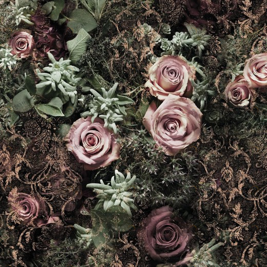 8-980-Velvet Фотообои Komar Imagine Edition 2 254х368 м 8980VELVET