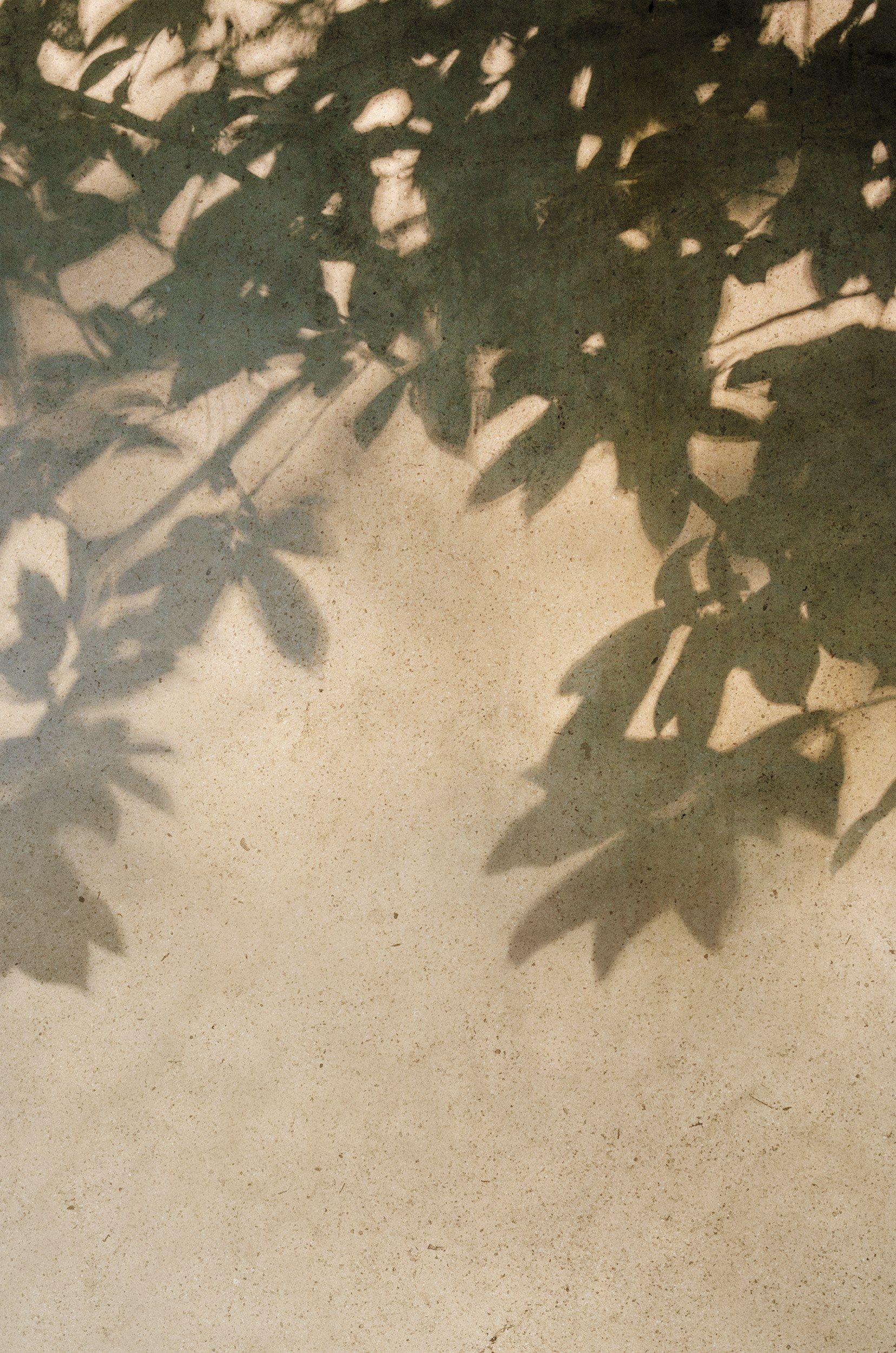 Пол / облицовка керамогранита для внутреннего и наружного применения с эффектом цемента Florim Ceramiche SENSI ARCH-00151192 - Вид №5