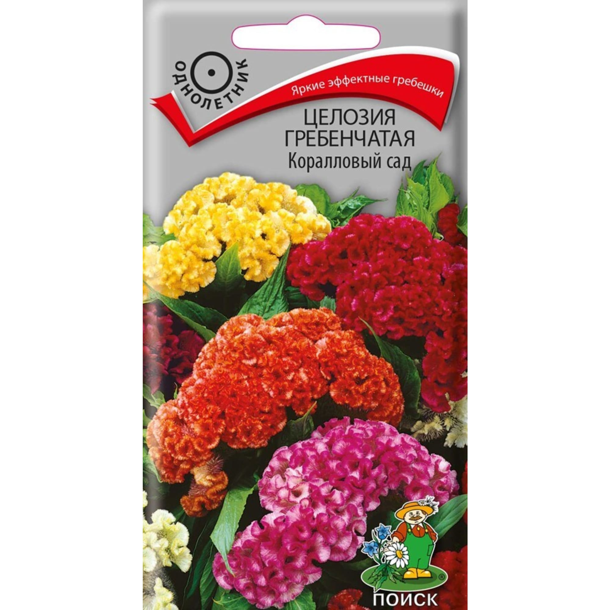 Целозия Гребенчатая «Коралловый сад» от ПОИСК — яркие соцветия для сада 83227389 STLM-0039551