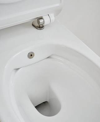 CT2039V-B (NC2039V) Унитаз SSWW CT  - Вид №1