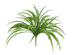 20.091401GW Трава Ванилла Грасс бело-зелёная Цветочная коллекция