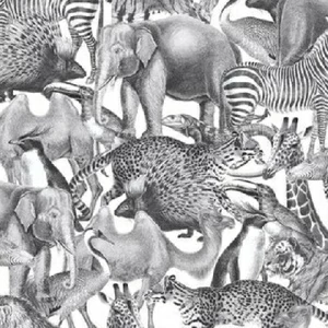 105474 Обои Graham&Brown Curiosity