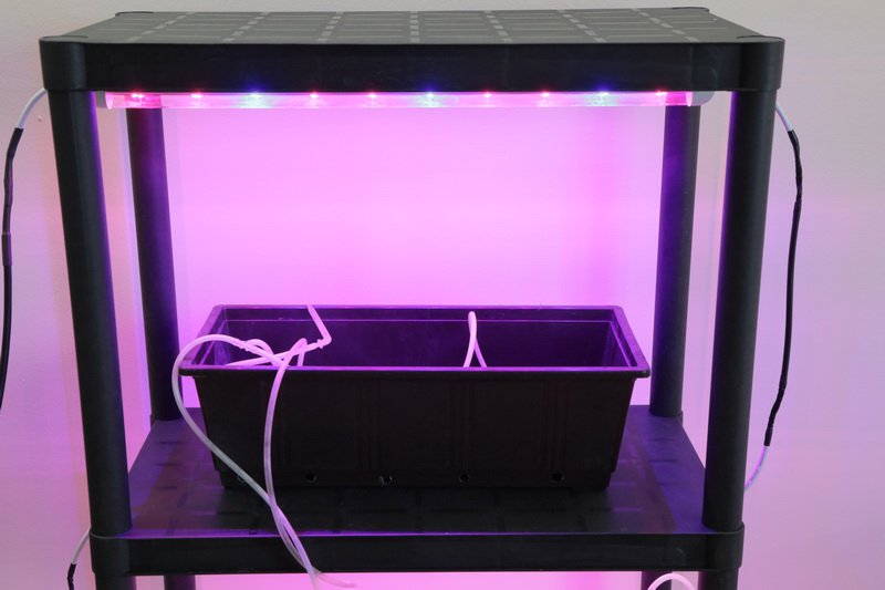 1911 Стеллаж для рассады 141*60*30 LAB.Space  - Вид №2