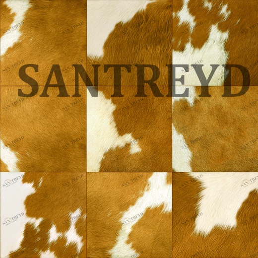 1401-2-RST Обои Alessandro Allori Esotiche 14012RST