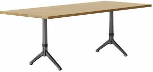 horgenglarus Прямоугольный обеденный стол из массива дерева  T-1005