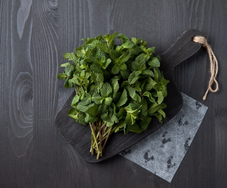 8504 Мята Вкусляндия 