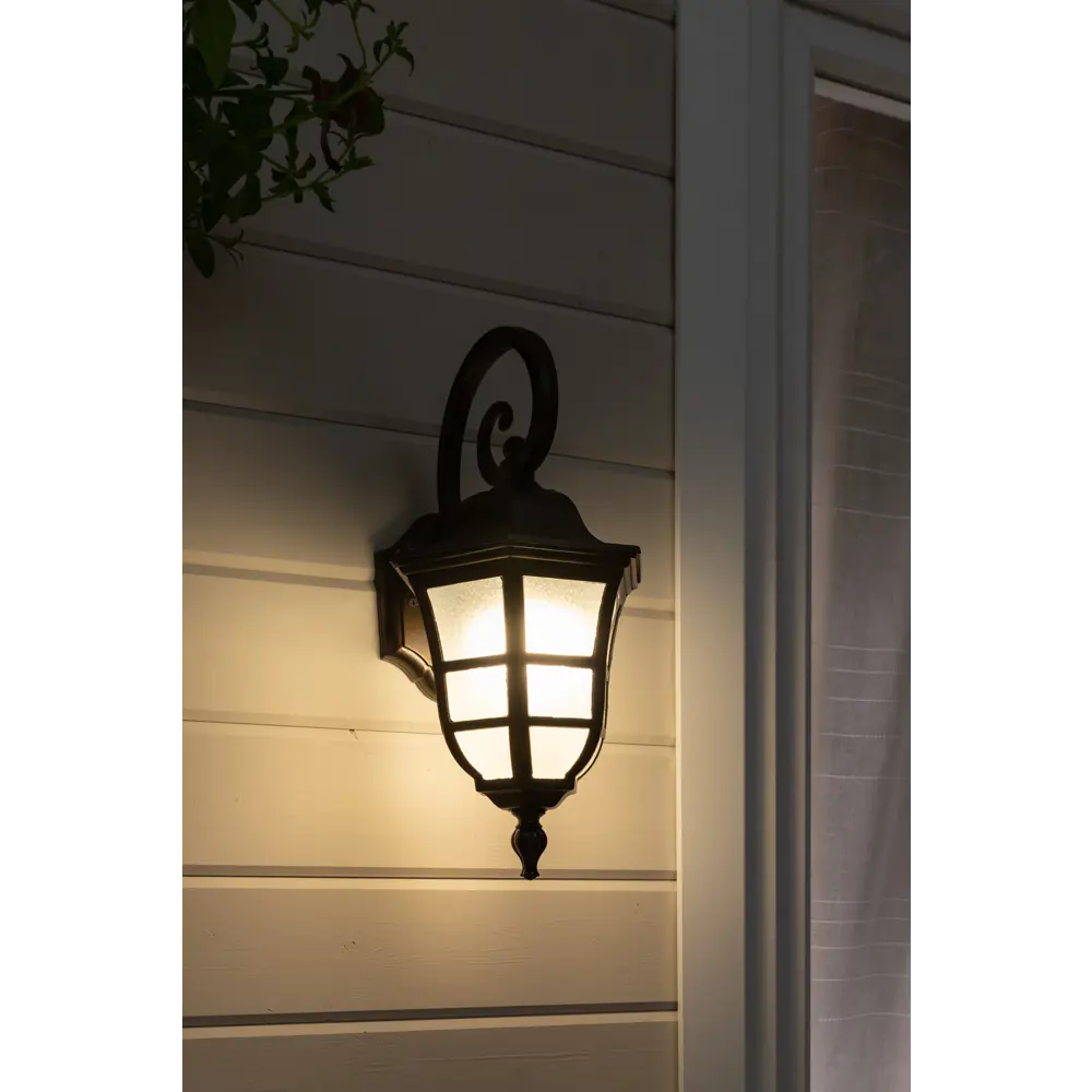 Светильник уличный настенный Меридиан 100 Вт IP54 TDM ELECTRIC STLM-2158485