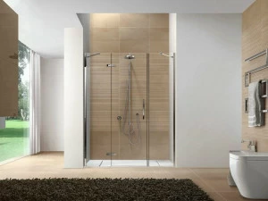 DISENIA Душевая ниша в акватек Clip