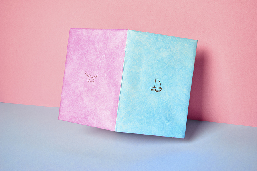 NC-010 Обложка на паспорт - new w New wallet  - Вид №2