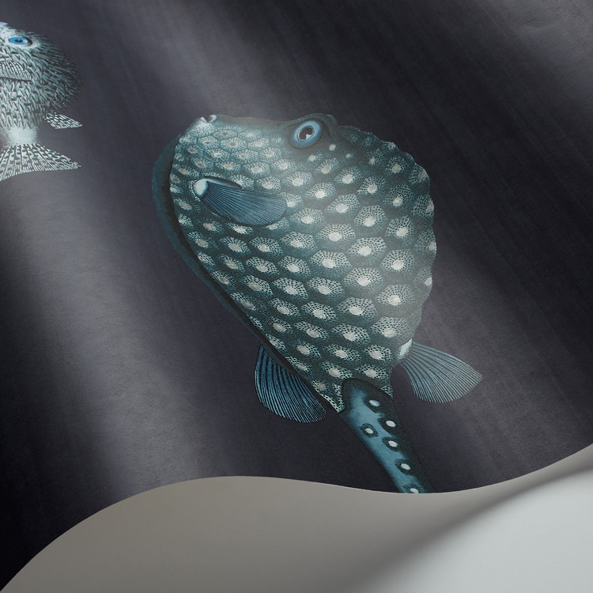 Traditional bathrooms Винтажный аквариум Motivtapete Fornasetti Fornasetti Acquario - Cole & Son  - Вид №1