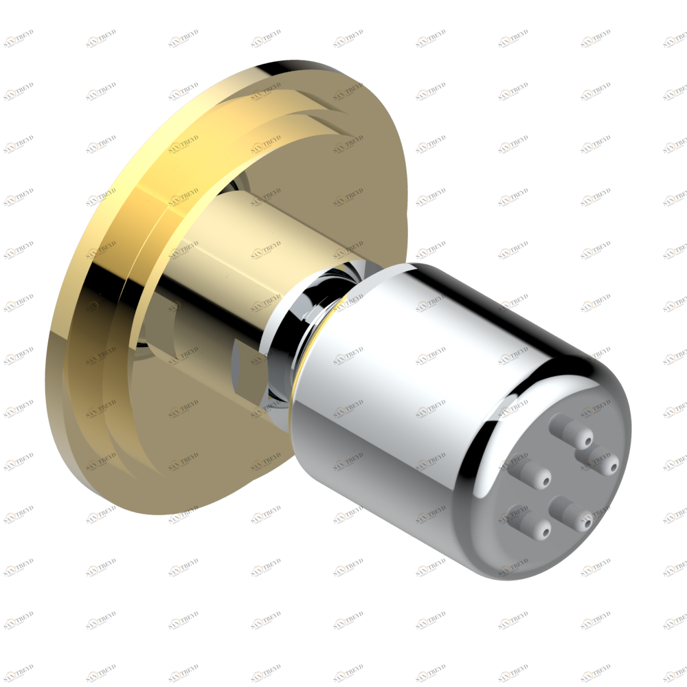 G2K-290/B Форсунка гидромассажная встраиваемая в стену 1/2" с защитой от жёсткой воды Thg-paris Faubourg - белый фарфор Хром/золото G2K 290/B CAT.A