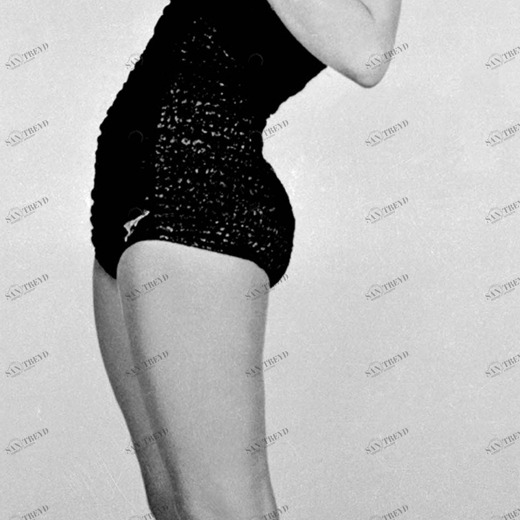 A1-092 Фотообои DIVINO Collection A 2.7х1 м A1092