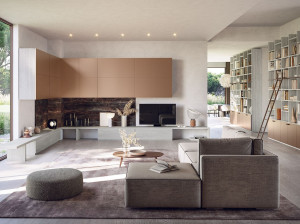 Оборудованная стена / книжный шкаф