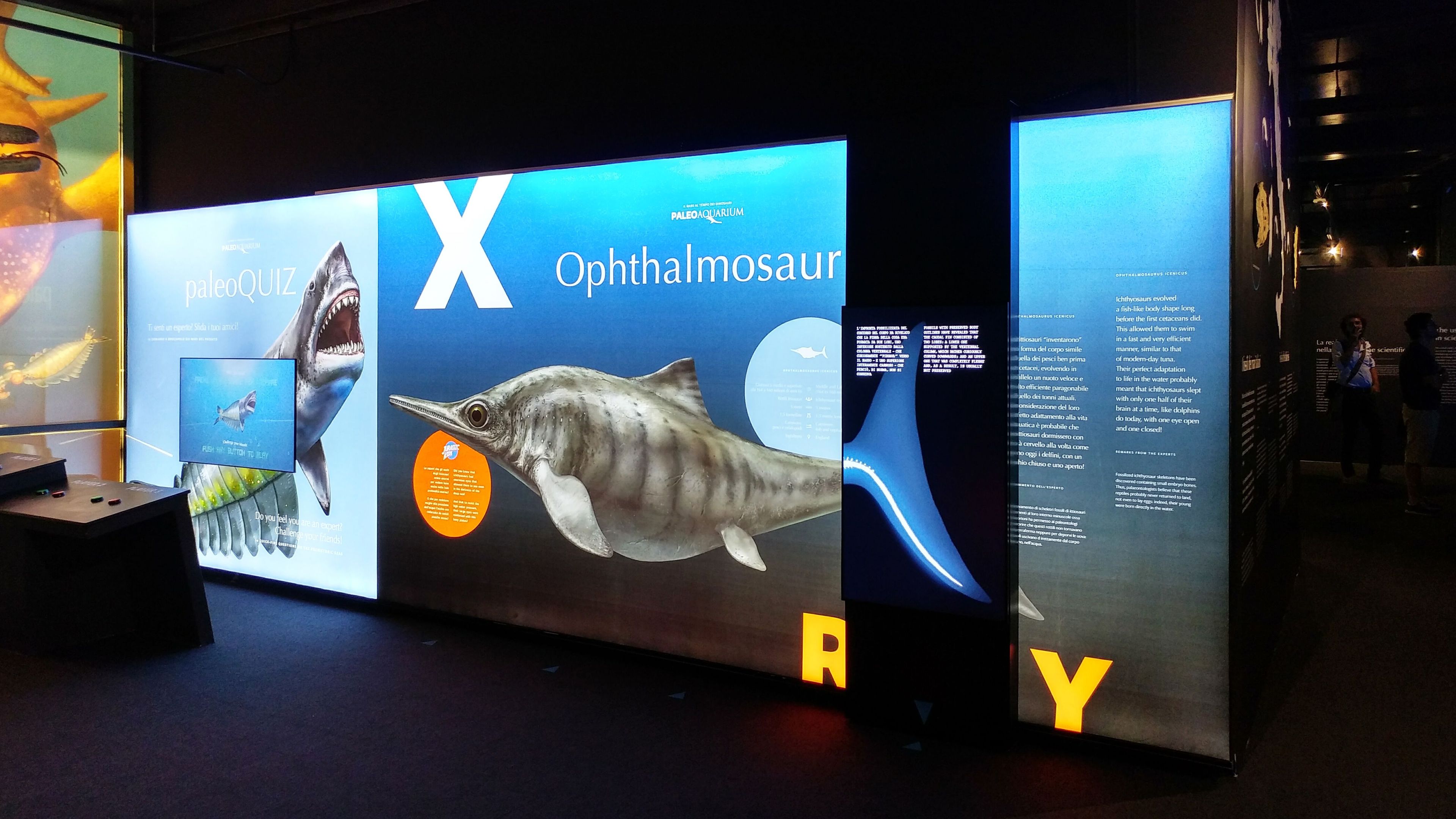 Алюминиевая и тканевая система для музейной отделки ABS Group ALLESTIMENTI PER MUSEI ARCH-00107562 - Вид №4