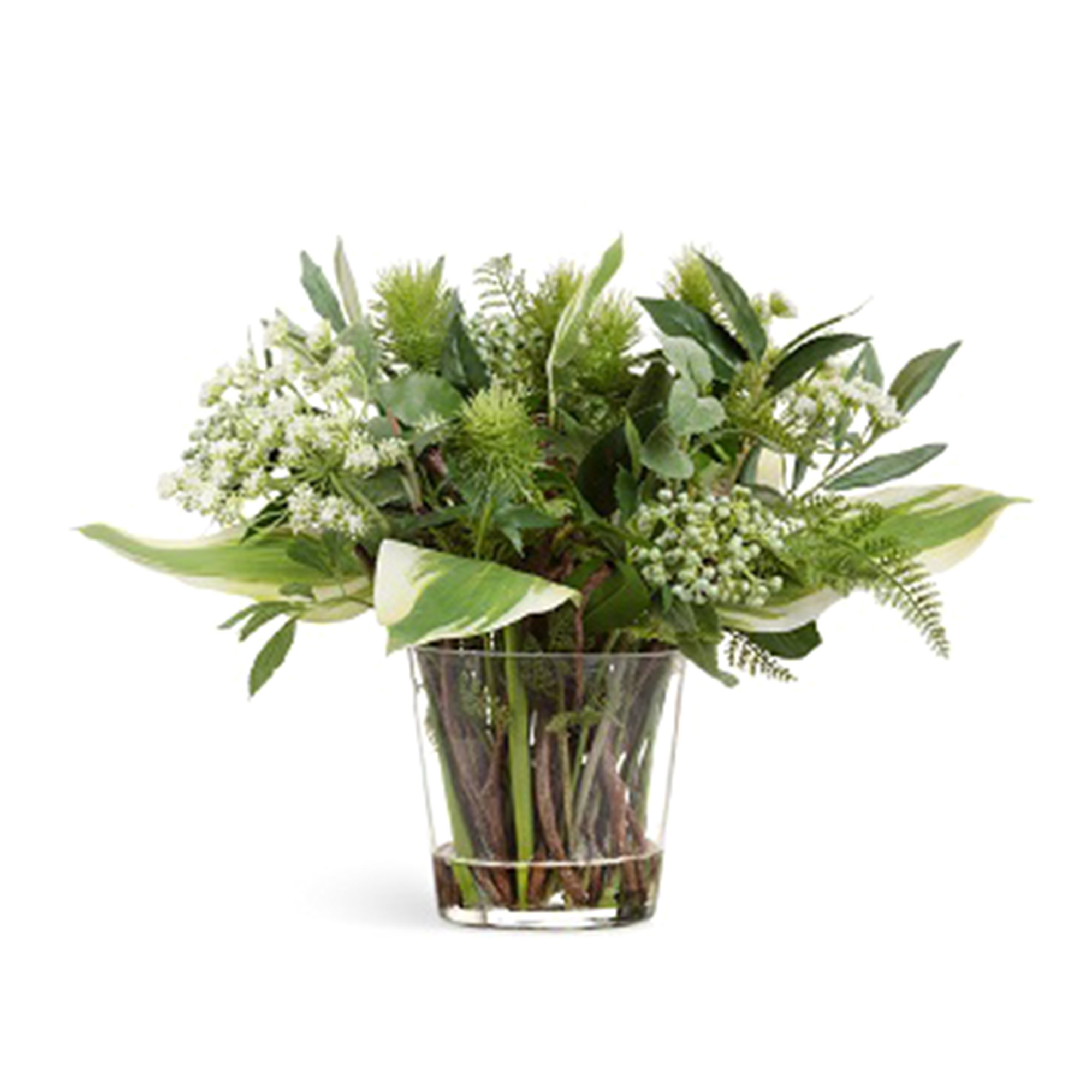 2000983190161 Композиция green lifestyle малая Cosmo red 