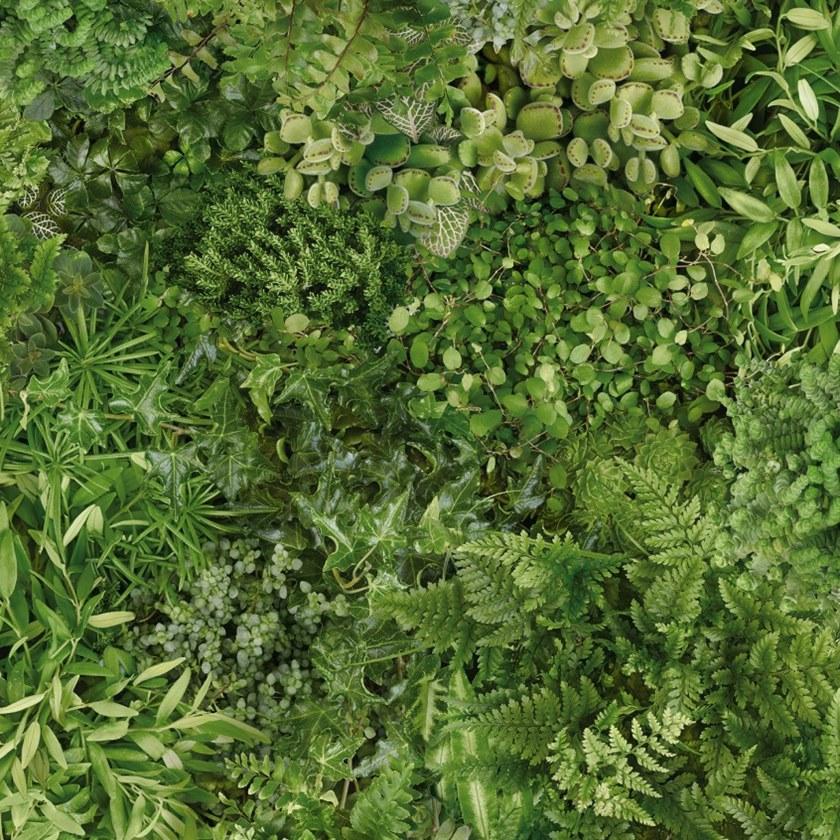 Koziel Обои на стену  8888-414  - Вид №1