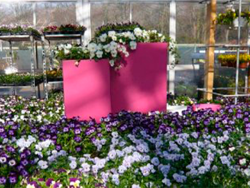 Кашпо коллекции "Бетула" ВD-02-61 150/50/60 ГеоПластБорд GPBST-84 - Вид №5